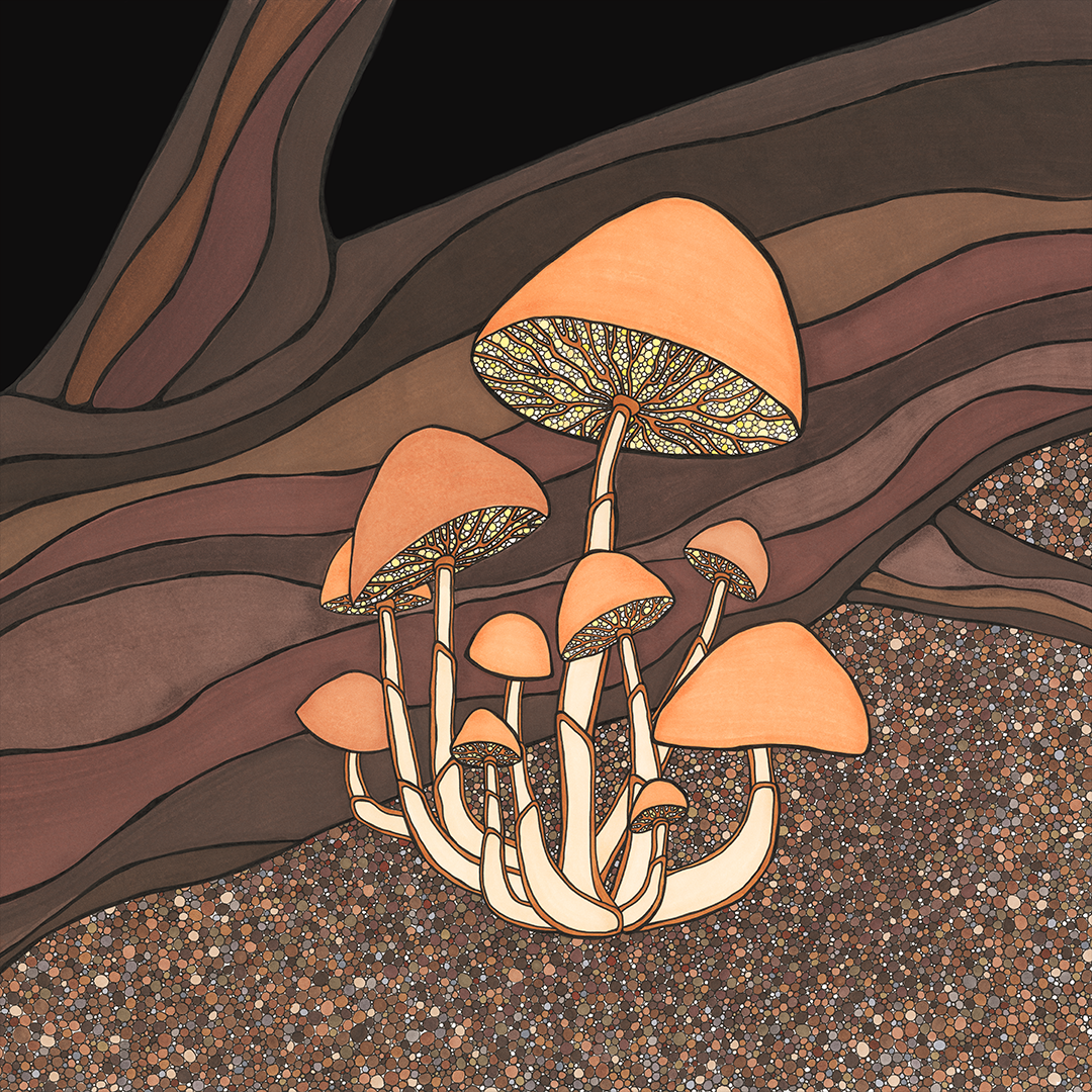 Mushroom 1