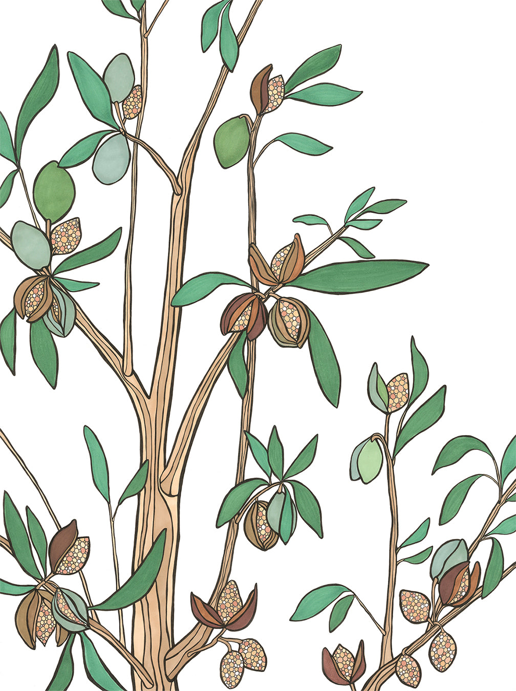 California II Almond