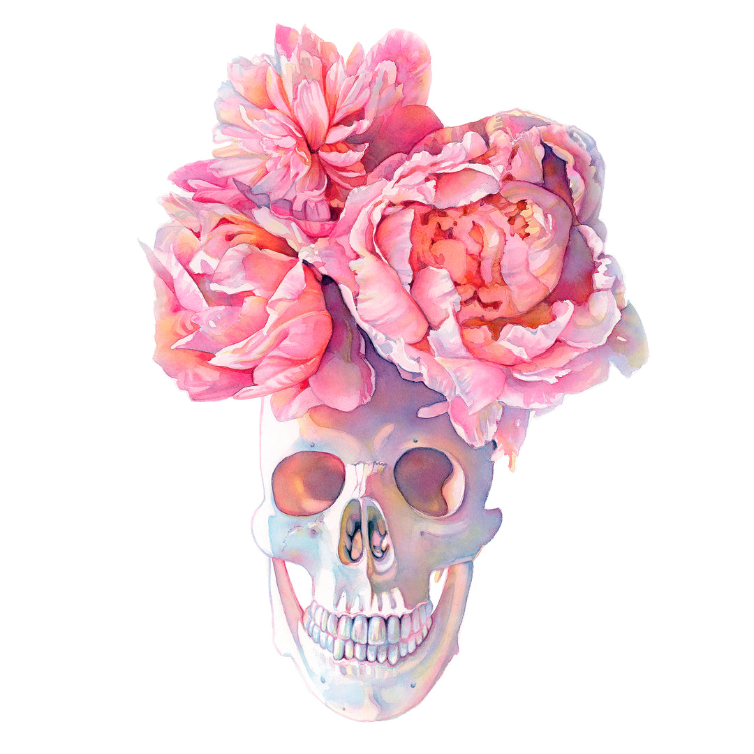 Calaca Peonia