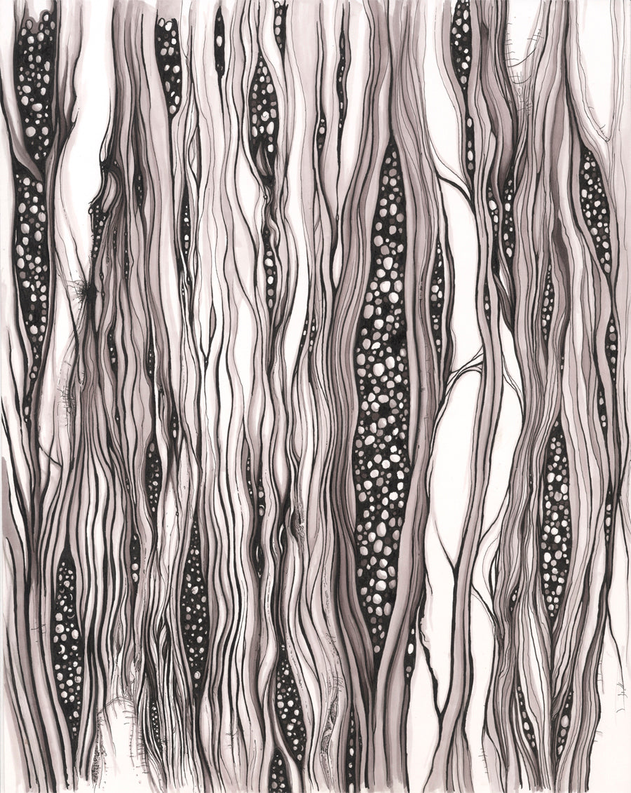 Cellular 2