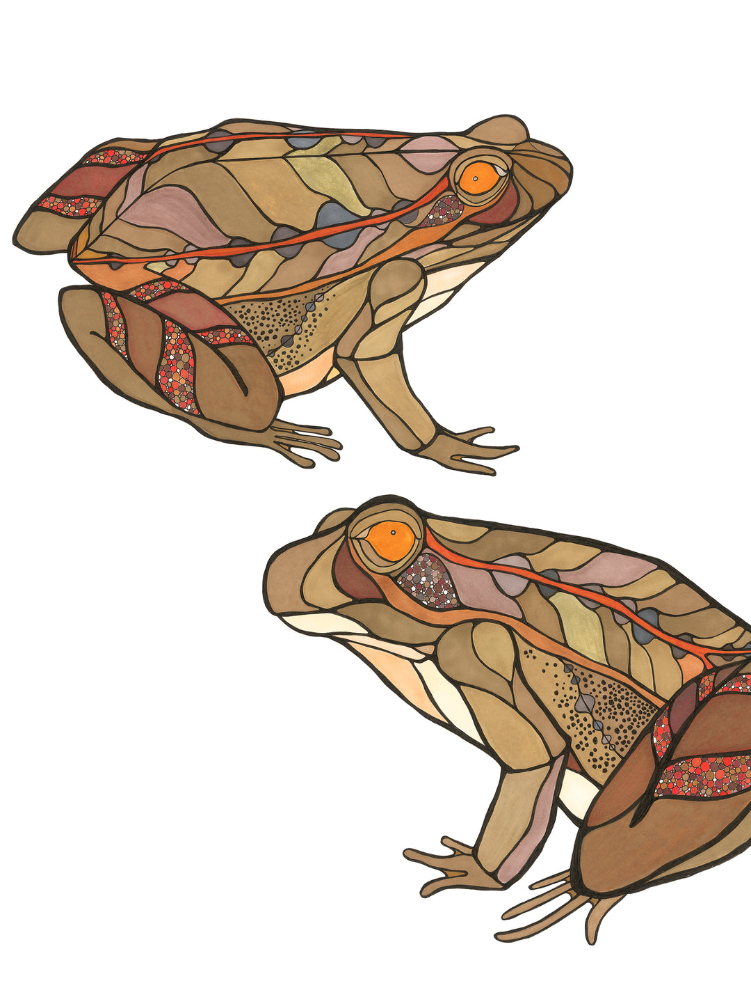 California II Red Legged Frog