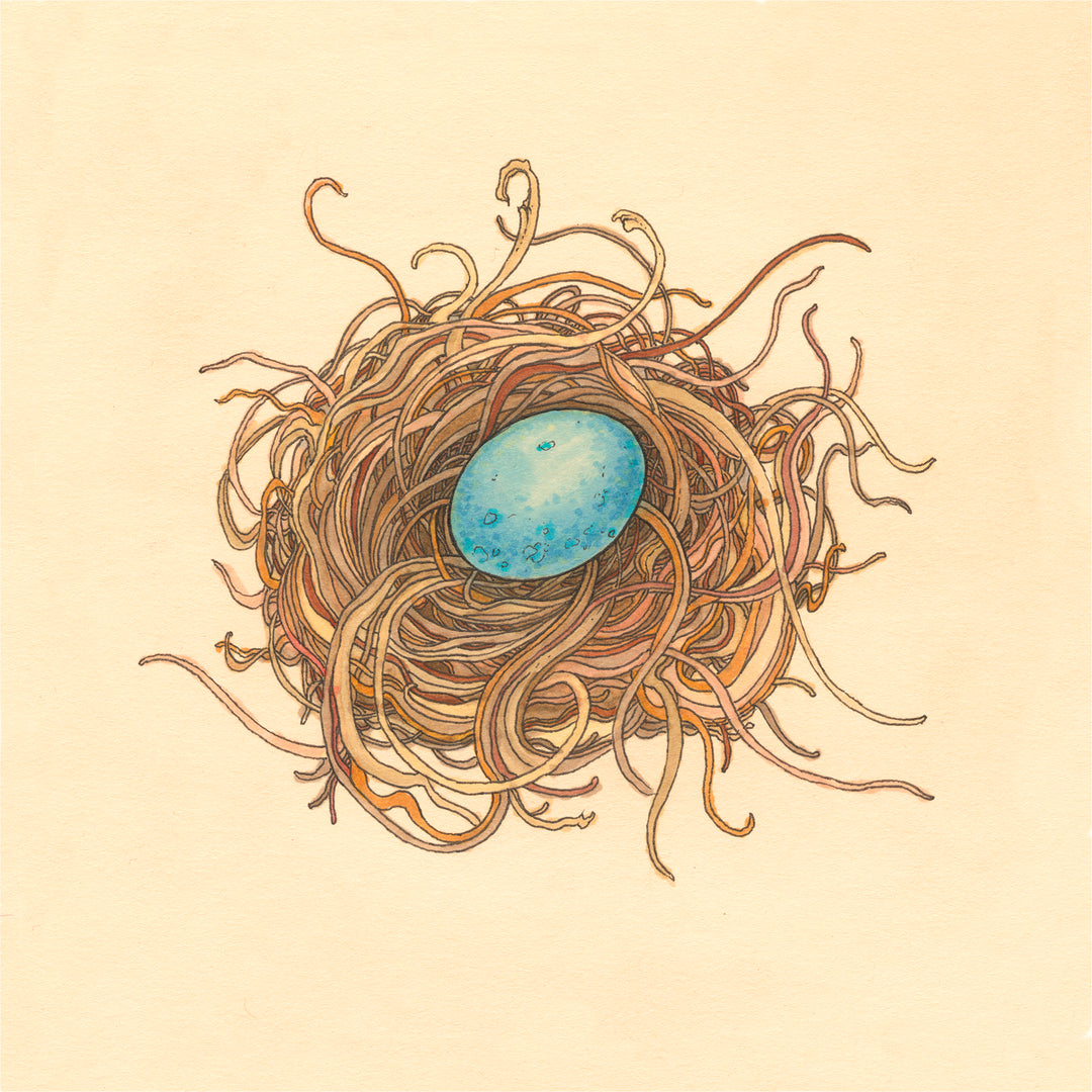 Nest