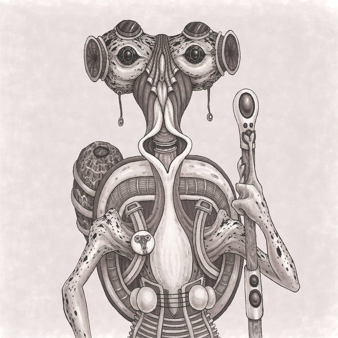 07 - Ostry