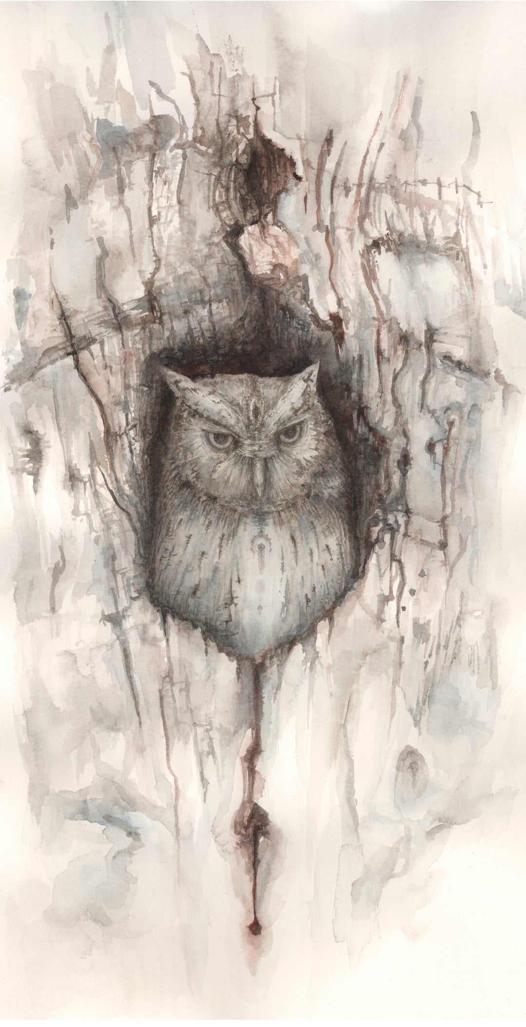 Owl and Rider