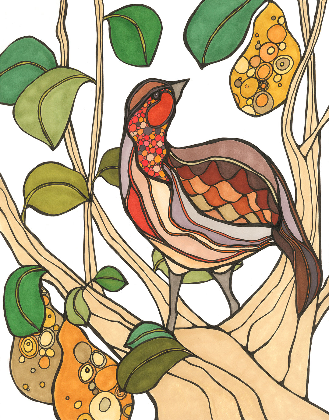 Partridge in a Pear Tree