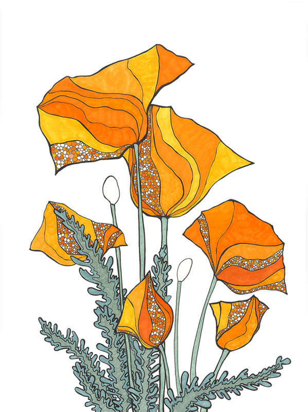 California Poppy
