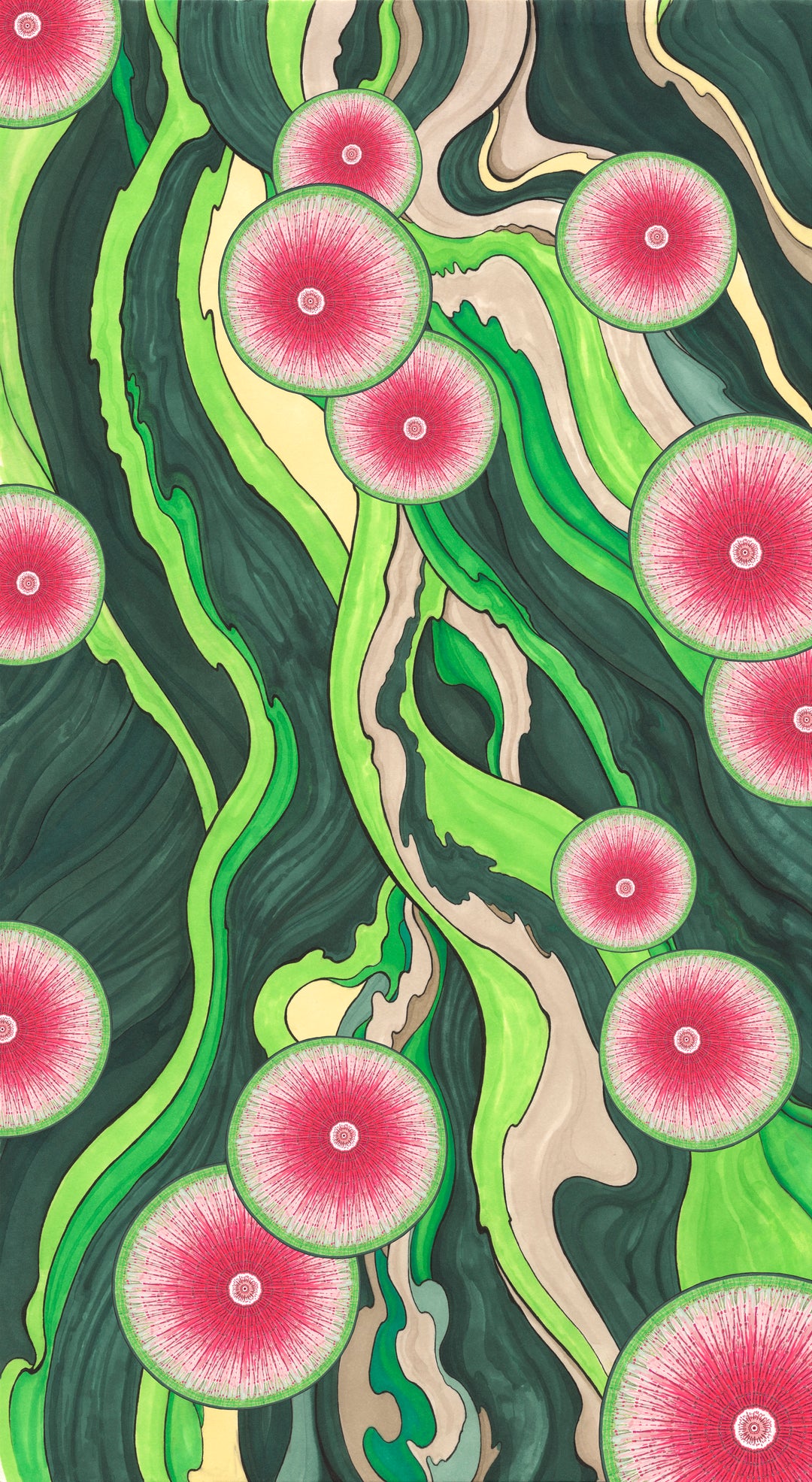 Watermelon Radish