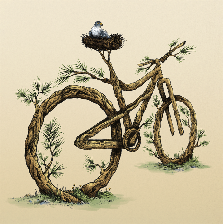 MTN BIKE (Color)