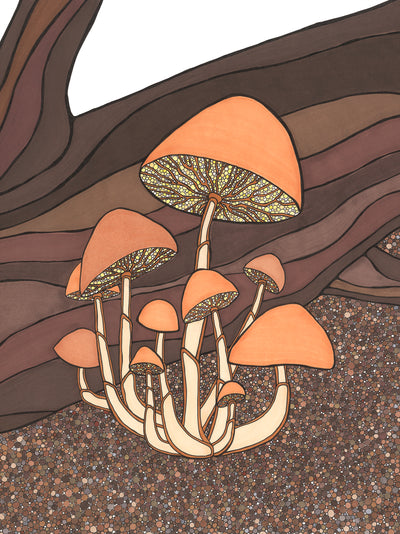 Fungi I