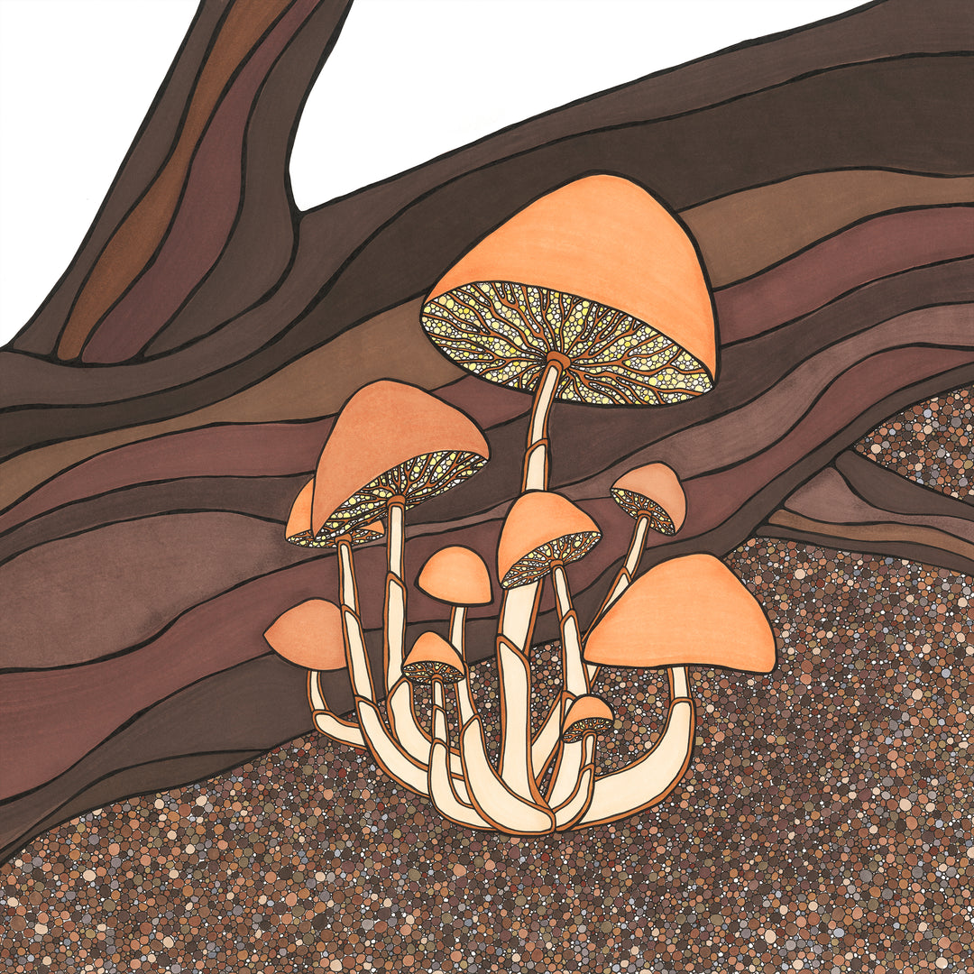 Fungi I