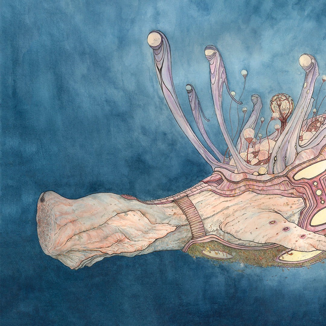 Whalien